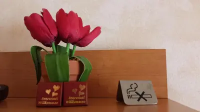 Planimetria di Primavera