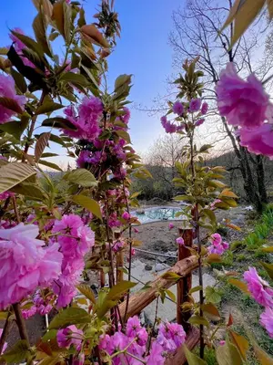 Paesaggio naturale nelle vicinanze dell'agriturismo