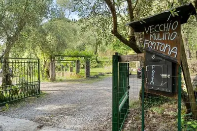 Planimetria di VECCHIO MULINO FONTONA Ortensia