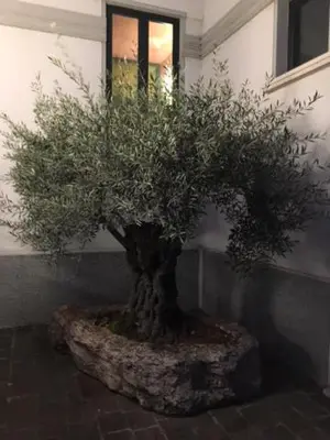 Giardino di Hotel Abacus