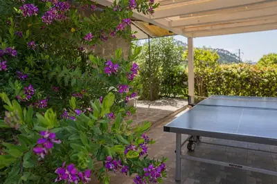 Attrezzature per ping pong presso AGAVE - Villa Luisa, Pace e Relax a 2 passi dal mare o nelle vicinanze