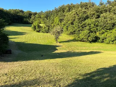 Paesaggio naturale nelle vicinanze dell'appartamento