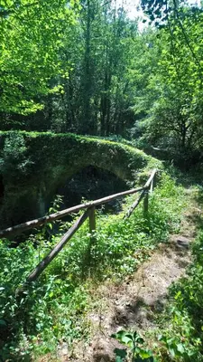 Paesaggio naturale nelle vicinanze dell'appartamento