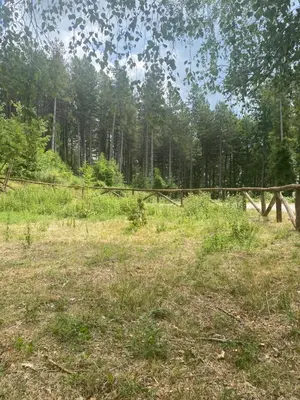 Paesaggio naturale nelle vicinanze dell'appartamento