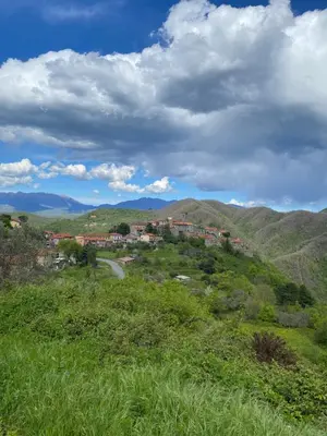 Planimetria di Splendida vista