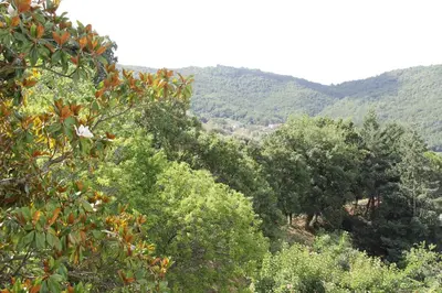 Paesaggio naturale nelle vicinanze della villa