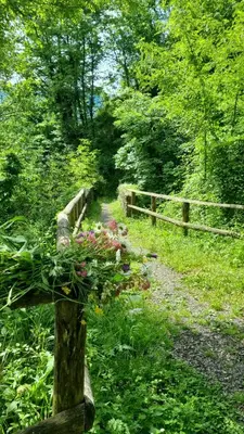 Paesaggio naturale nelle vicinanze dell'appartamento