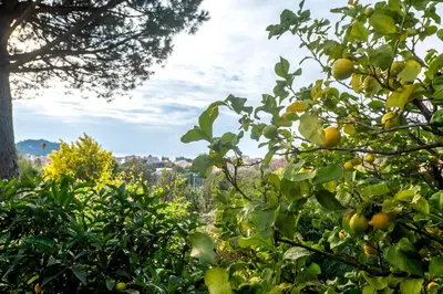 Paesaggio naturale nelle vicinanze dell'appartamento