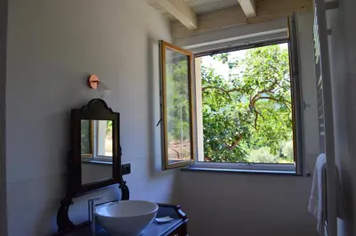 Planimetria di Agriturismo Torsivì