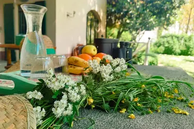 Cibo presso il bed & breakfast o nelle vicinanze