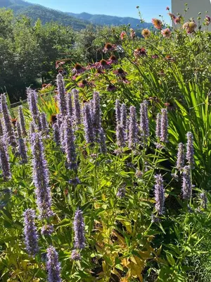Paesaggio naturale nelle vicinanze del bed & breakfast