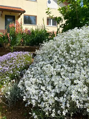 Giardino di La Casa del Sole