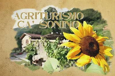 Planimetria di Agriturismo Cà Sonino