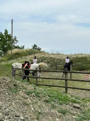 Ospiti di Agriturismo cergallina