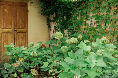Giardino di Casale Hortensia