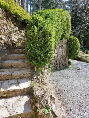 Giardino di Villa Ghiron