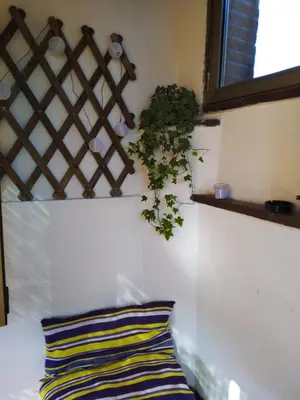 Planimetria di La casa di Mi Mà
