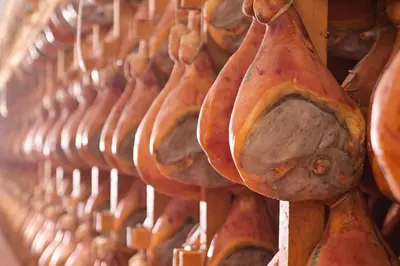 Planimetria di La Ca' Tòrta - Rustico ristrutturato