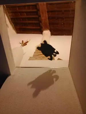 Planimetria di Il Nido delle Rondini