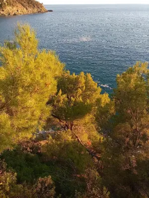 Paesaggio naturale nelle vicinanze dell'appartamento