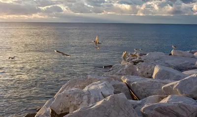 Paesaggio naturale nelle vicinanze dell'appartamento