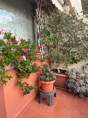 Giardino di La casa di Teri a Chiavari
