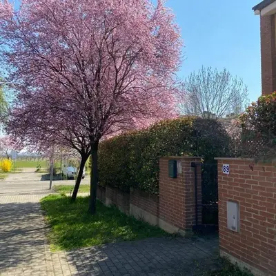 Giardino di SUITE TRAVEL HOME