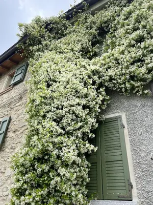 Giardino di Alloggio con camino nel borgo del castello