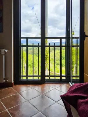Balcone o terrazza di Mini Appartement Colombana