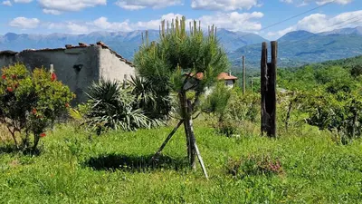 Paesaggio naturale nelle vicinanze dell'appartamento