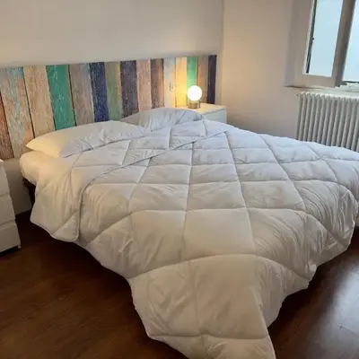 G-house2
