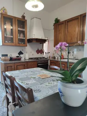 Cucina o angolo cottura di La casa tra verde e mare