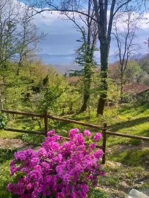 Paesaggio naturale nelle vicinanze della villa