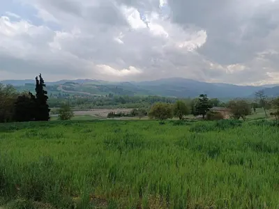 Paesaggio naturale nelle vicinanze del bed & breakfast