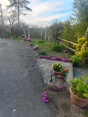 Giardino di La valle fiorita