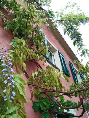 Giardino di @gatetothewild