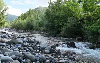 Paesaggio naturale nelle vicinanze dell'appartamento
