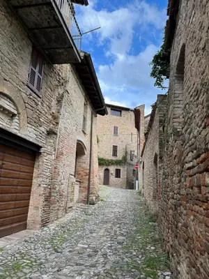 Il quartiere o una zona nella vicinanze dell'appartamento